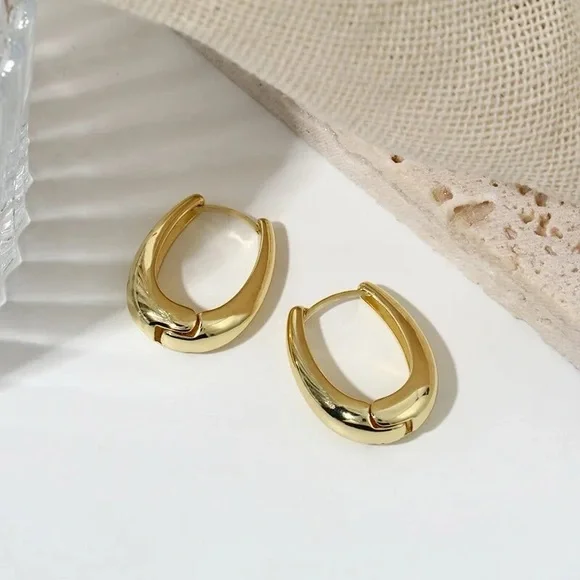Trendy Oval Geometric Earrings in Gold & Silver Color - Picture 7 of 9